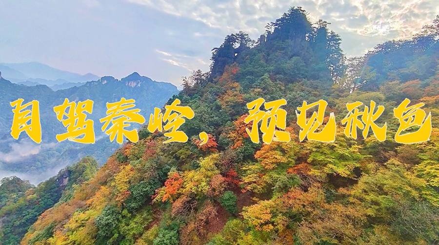 自驾秦岭·豫见秋色｜河南队友西安集合，7天6晚穿越醉美秋色大道，光雾山红叶+太洋公路+高江路